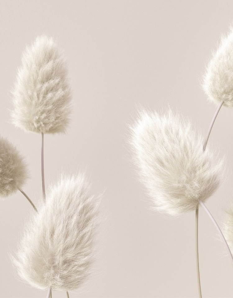 hypnotherapie stoppen met roken – Pure Mind Hypnose therapie Tilburg hypnotherapie stoppen met roken – Pure Mind Hypnose therapie Tilburg